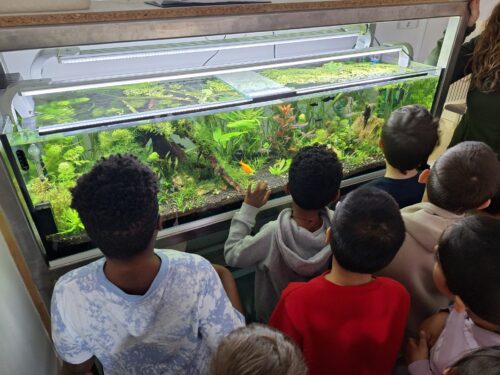 Kinder stehen vor einem Aquarium