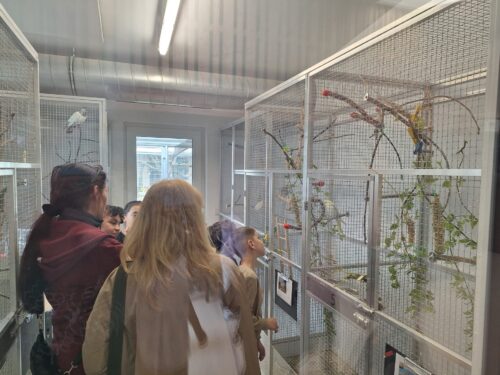 Kinder beobachten Vögel im Käfig