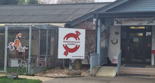 Katzen-Außengehege des Tierheims