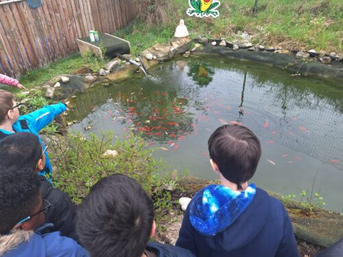 Kinder stehen bei einem kleinen Teich mit Goldfischen