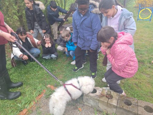 Kinder stehen um einen kleinen Hund