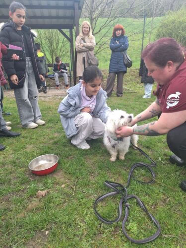 Mädchen streichelt einen weißen Hund